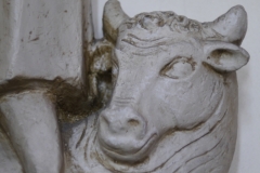 Stier
