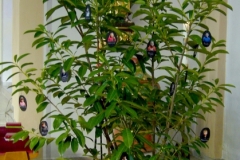 Bübingen-2006.02.19_10-25-24