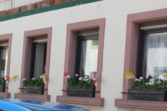 2016.05.26_11-18-45_v1