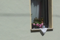 2016.05.26_11-19-05_v1