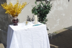 2016.05.26_11-19-57_v1