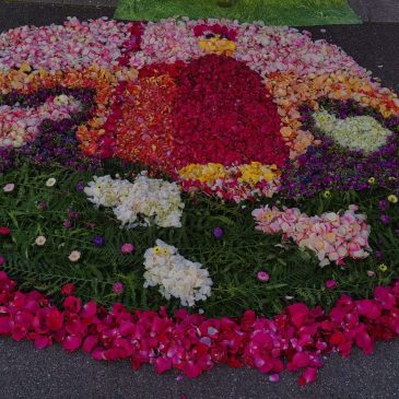 Blumenteppich an Fronleichnam 2022