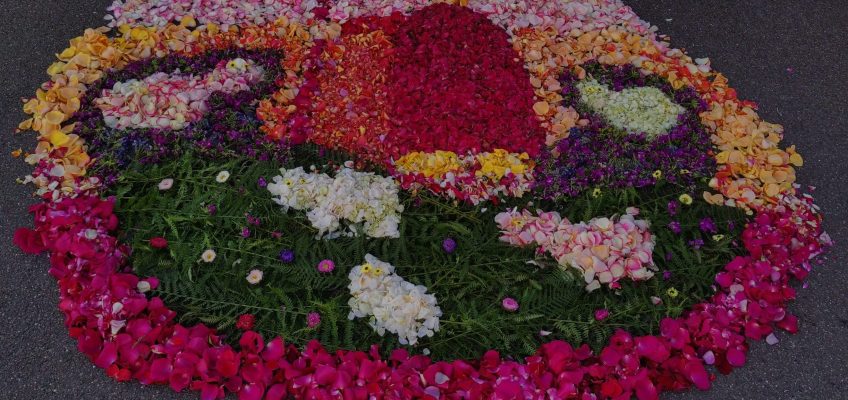 Blumenteppich an Fronleichnam 2022 mit dem Motiv vom guten Hirten