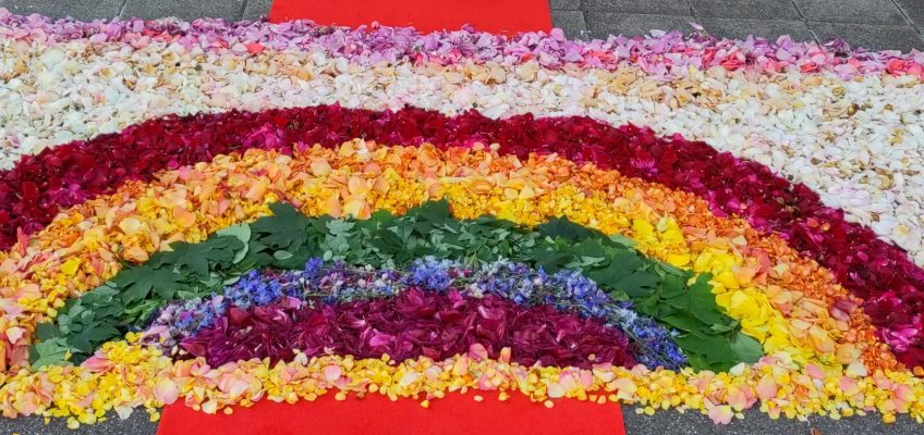 Regenbogen-Blumenteppich